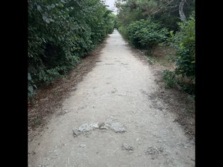 None, Киевская улица