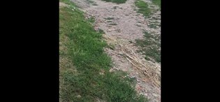 None, Трудовая улица