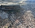 Отсутствие дорожного покрытия.Отсутсвие тротуара.Промоины и ямы глубиной 100-300мм.Неоднократные  письменные обращения в исполнительный комитет города и ГИБДД без результатов.