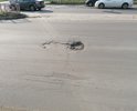 Ямы более 5см, дорога вся в волнах, не по ГОСТ, колодца проваленны.